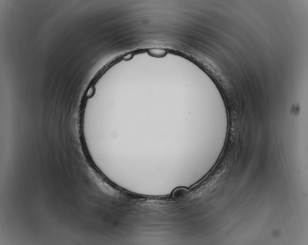 X0000101680942200808071106