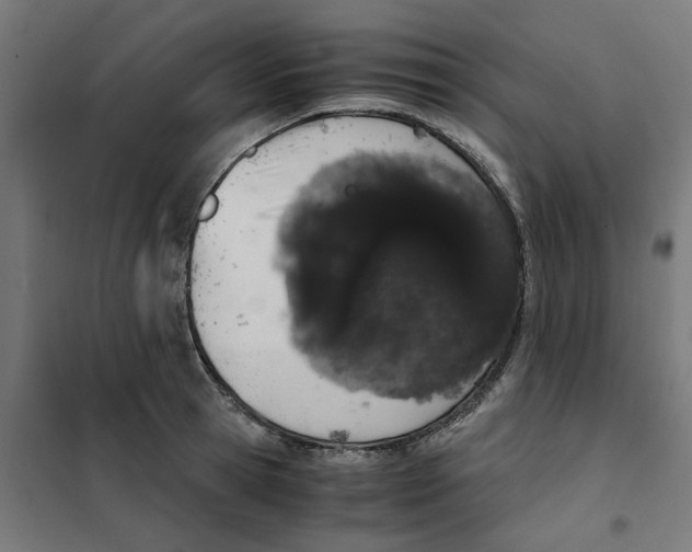 X0000101680945200808071106