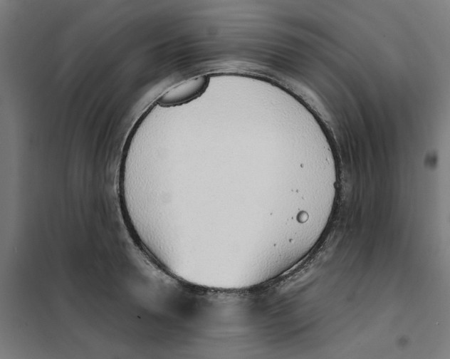 X0000101680946200808071106