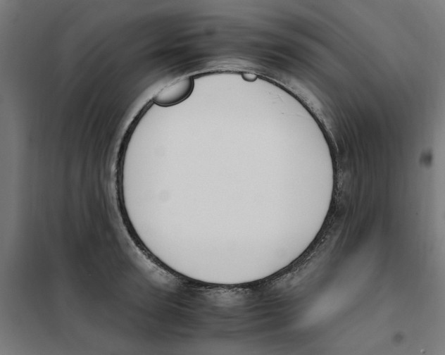 X0000101680947200808071106