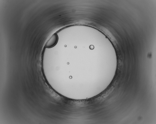 X0000101680948200808071106