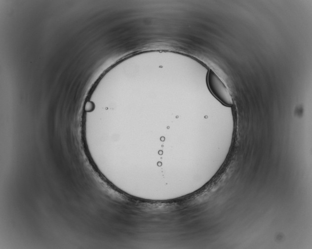X0000101680949200808071106