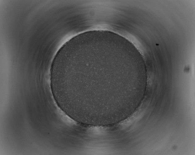 X0000101680950200808071106