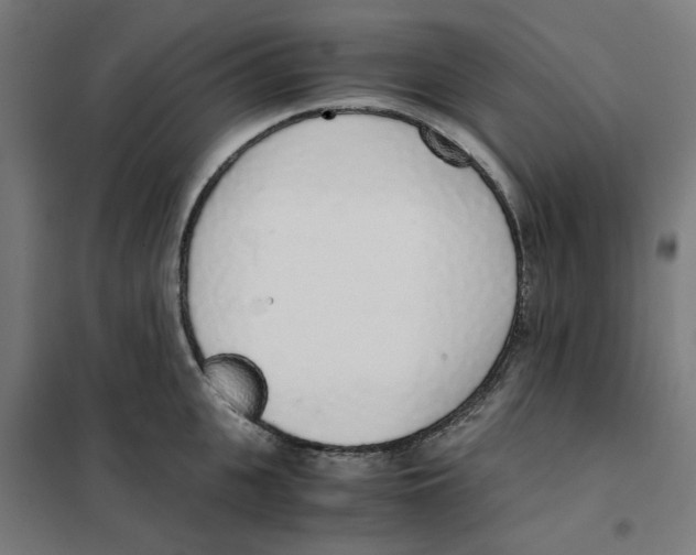 X0000101680951200808071106