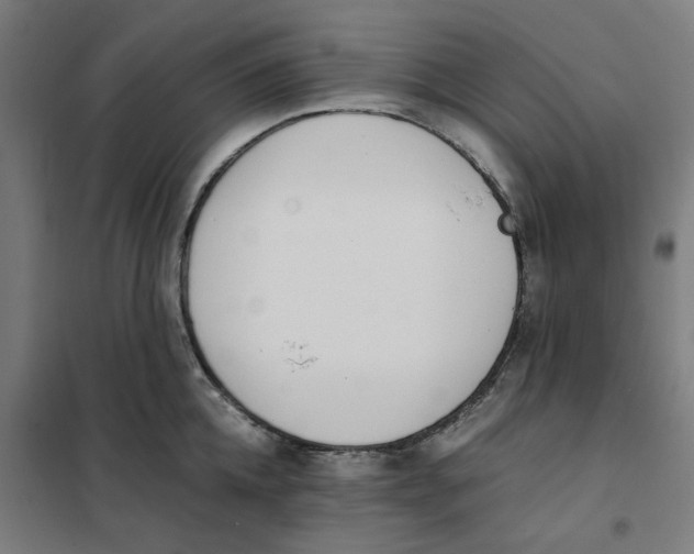 X0000101680952200808071106