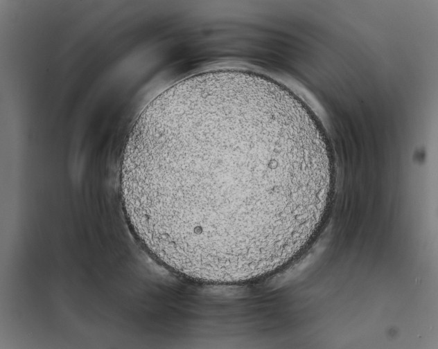 X0000101680953200808071106