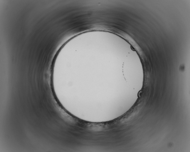 X0000101680955200808071106