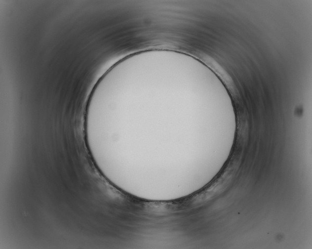 X0000101680956200808071106
