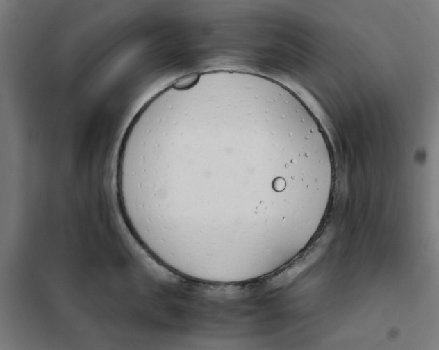 X0000101680957200808071106