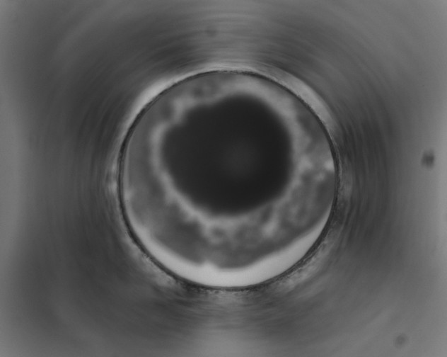 X0000101680958200808071106