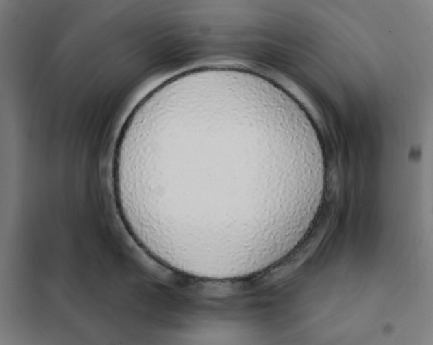 X0000101680959200808071106