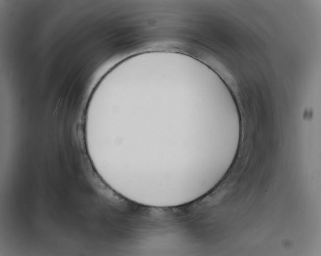 X0000101680960200808071106