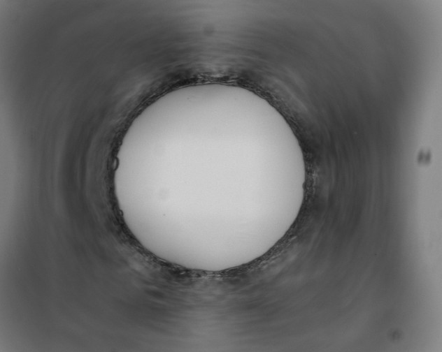 X0000101680961200808071105