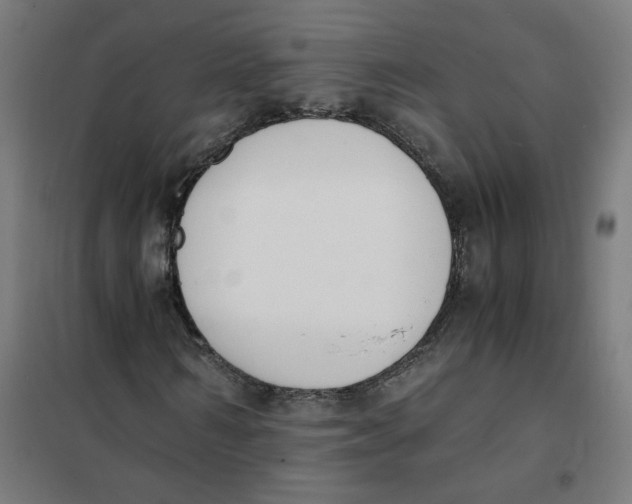 X0000101680962200808071105