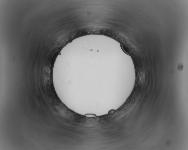 X0000101680964200808071105