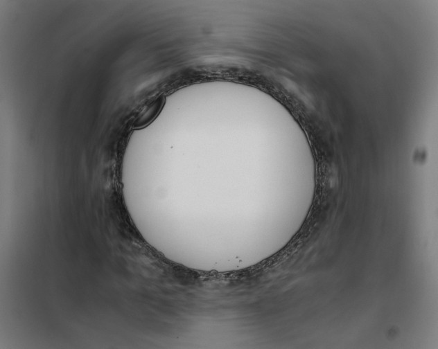 X0000101680965200808071105