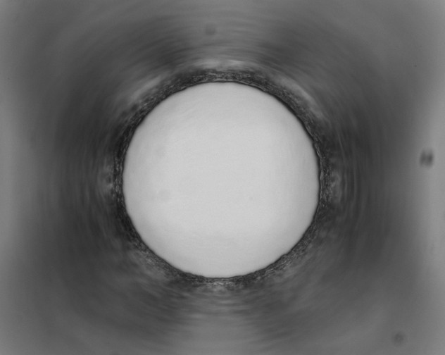 X0000101680966200808071105