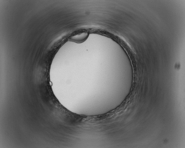X0000101680967200808071105