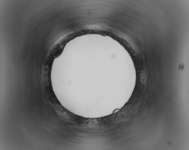 X0000101680968200808071105