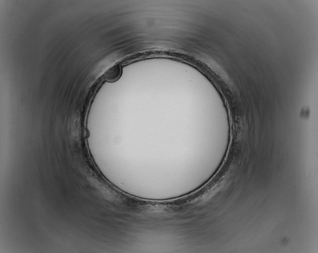 X0000101680969200808071105