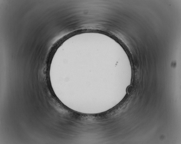 X0000101680971200808071105