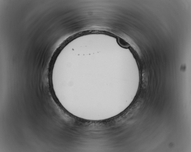 X0000101680972200808071105
