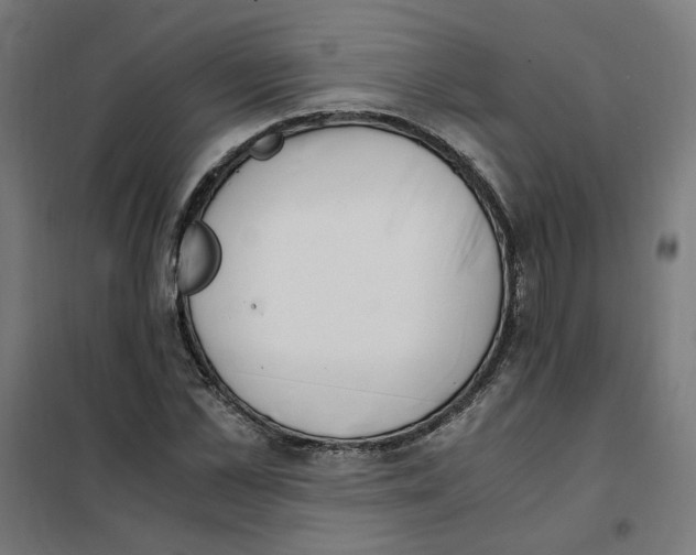 X0000101680973200808071105