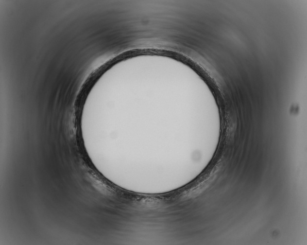 X0000101680974200808071105