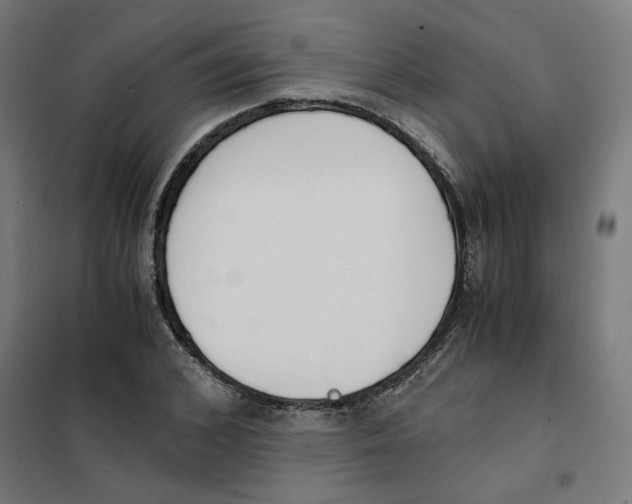 X0000101680976200808071105
