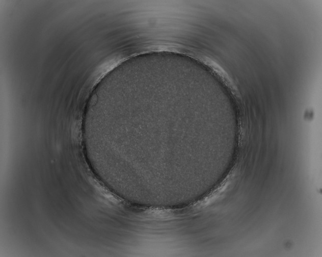 X0000101680977200808071105
