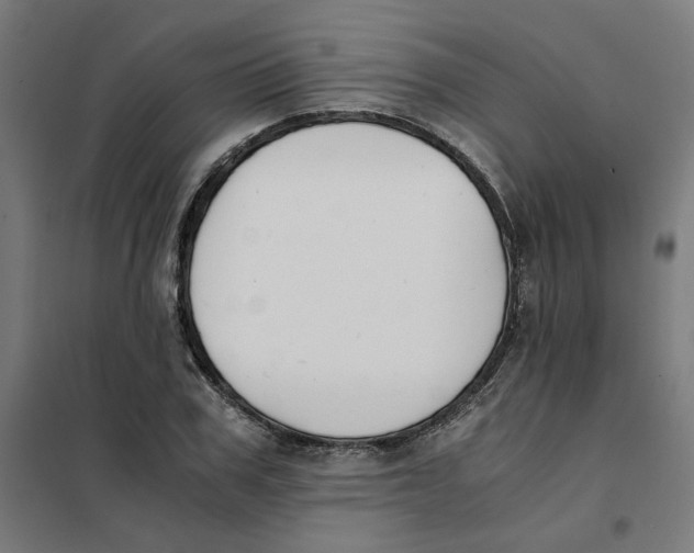 X0000101680979200808071105