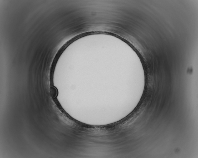 X0000101680980200808071105