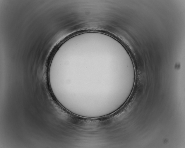 X0000101680981200808071105