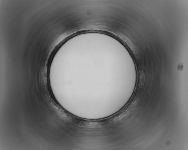 X0000101680982200808071105