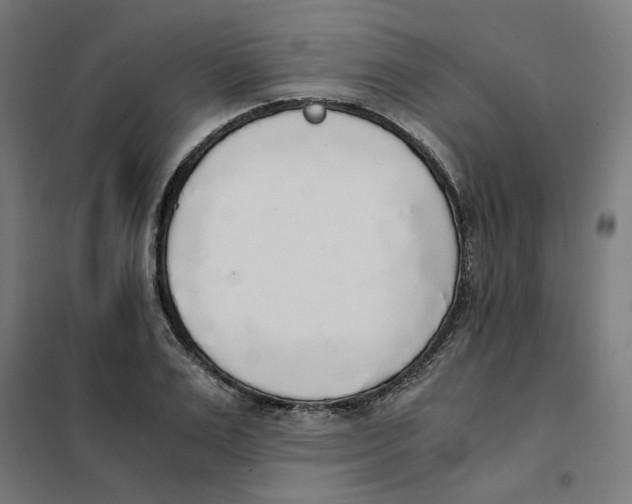 X0000101680983200808071105