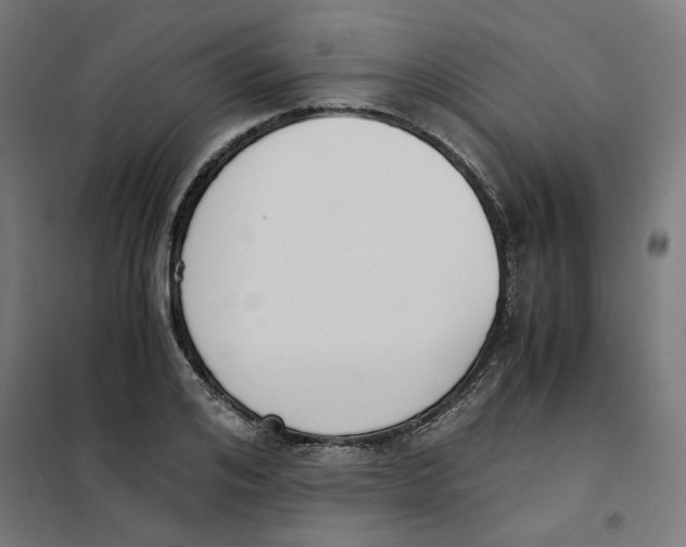 X0000101680984200808071105