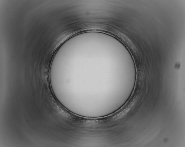 X0000101680985200808071105
