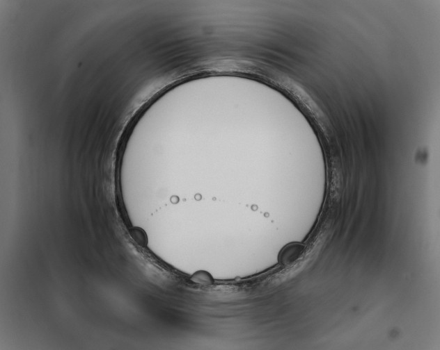X0000101680986200808071105