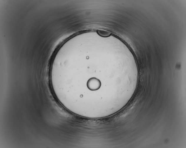 X0000101680987200808071105