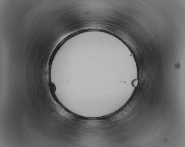 X0000101680988200808071105