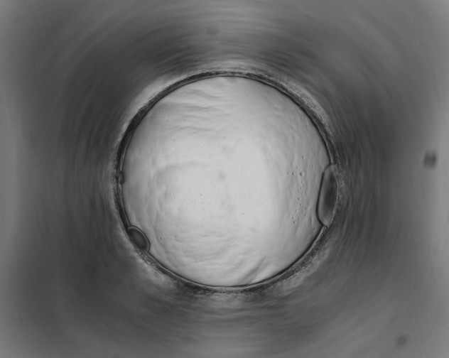 X0000101680989200808071105