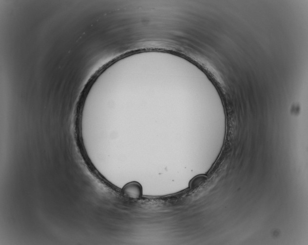 X0000101680991200808071105