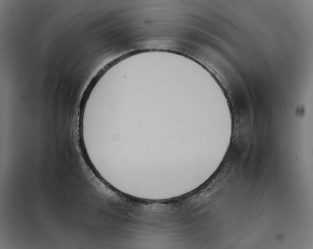 X0000101680992200808071105