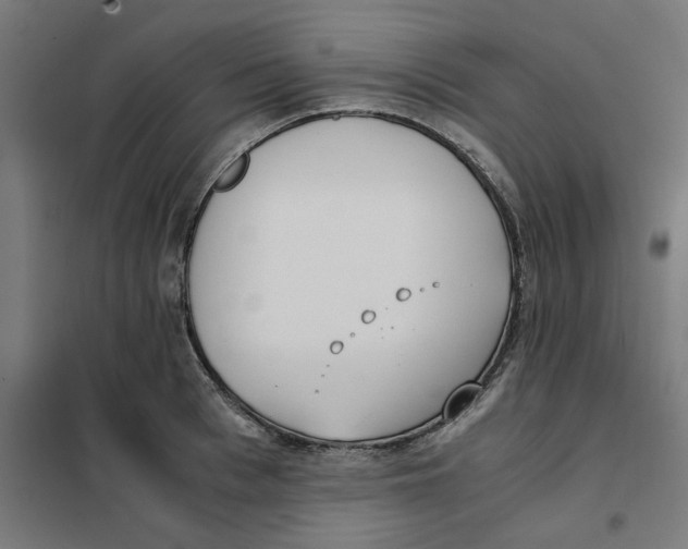 X0000101680993200808071105