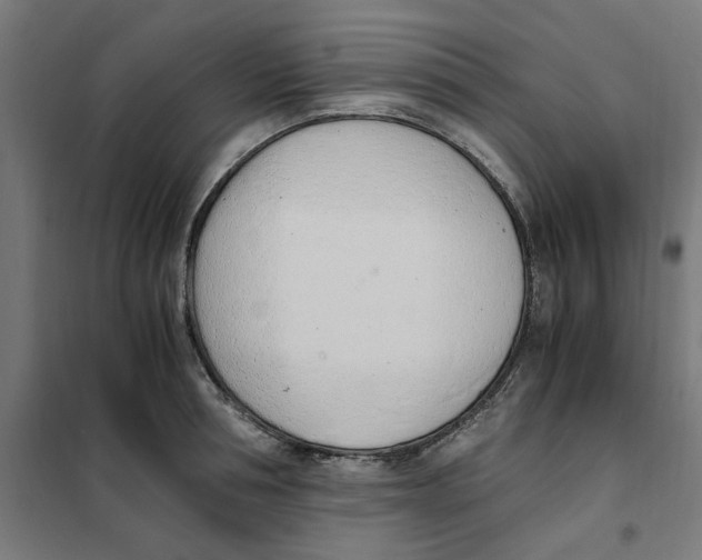 X0000101680994200808071105