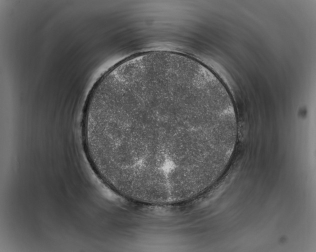 X0000101680995200808071105