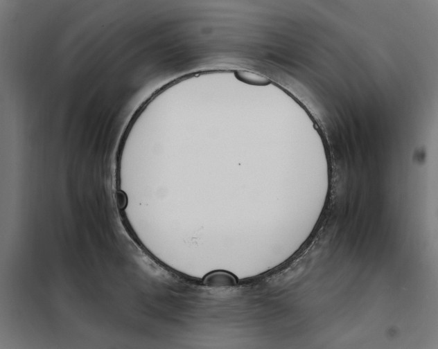 X0000101680996200808071105