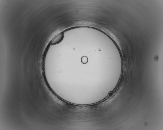 X0000101680997200808071105