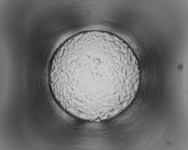 X0000101680998200808071105