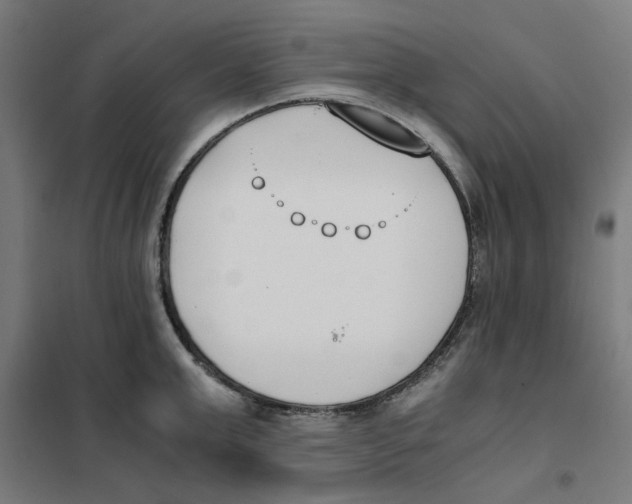 X0000101680999200808071105